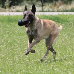 KONG Extreme Svart