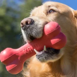 KONG Goodie Bone Röd M 18 cm