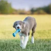 KONG Puppy Goodie Bone
