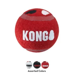KONG Signature Sport Bollar M 6 cm 3-pack