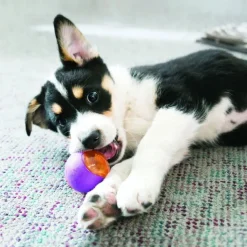 Kong Squeezz Actionball