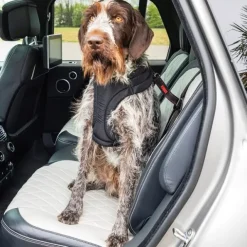 KONG Ultimate Säkerhetsbälte Hund