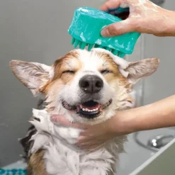 KONG ZoomGroom Bubbles Hundborste För Schamponering L