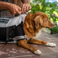 K9 Sport Sack Knavigate Hundryggsäck Grå