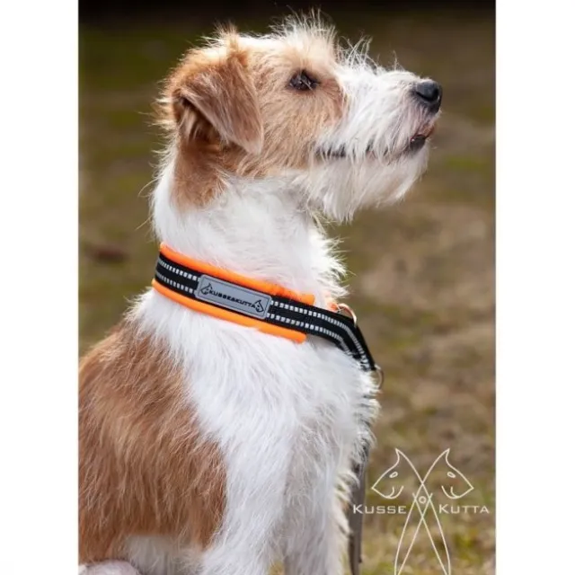 Kusse&Kutta Hundhalsband Halvstryp Orange