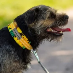 Kusse&Kutta Hundhalsband Halvstryp Solrosor