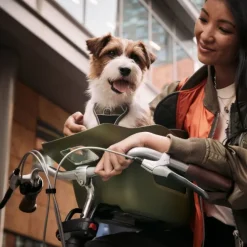 Kvisp Cykelkorg till Hund med Sele Grå