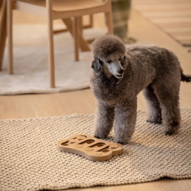 Little & Bigger Aktivitetsspel Shuffle Bone