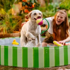 Little&Bigger Hot Summer Juicy Hundpool Grön 160 cm