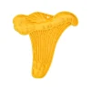 Little&Bigger Mushroom Love Yummy mat Slickmatta Kantarell
