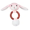 Little&Bigger Puppy Basics Kanin med Bitring