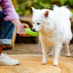 Little&Bigger Voyage Hundflaska med Skopa Grön 300 ml