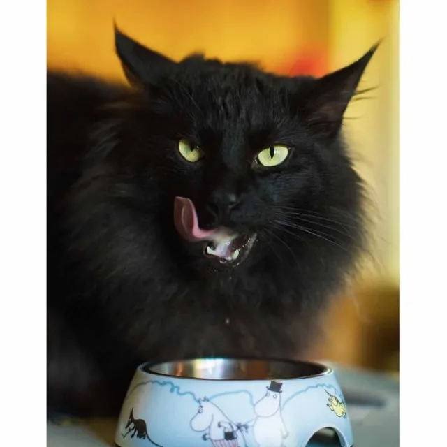 Moomin For Pets Matskål