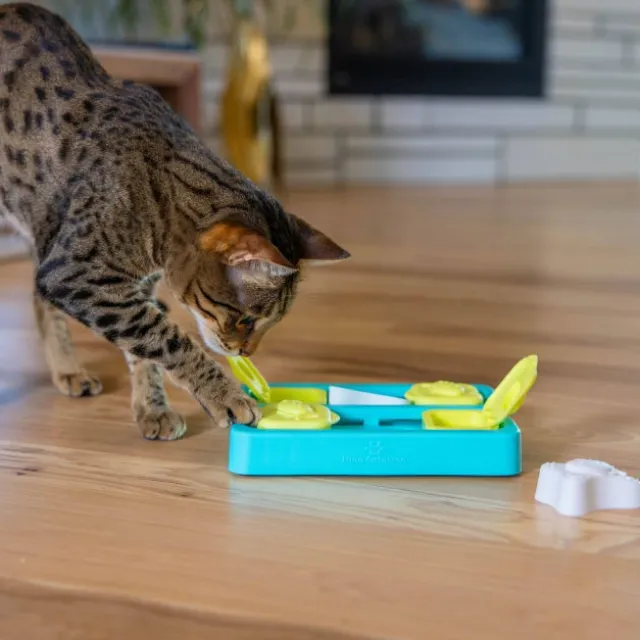 Nina Ottosson Catstages Kitty Cube Blå