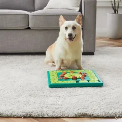 Nina Ottosson Dog Multi Puzzle Grön