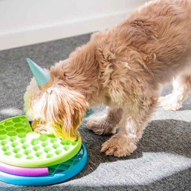 Nina Ottosson Lickin' Layers Slow Feeder Hundpussel