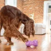 Nina Ottosson Outward Hound Double Snoop Lila