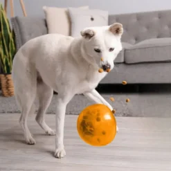 Nina Ottosson Outward Hound Snoop Orange