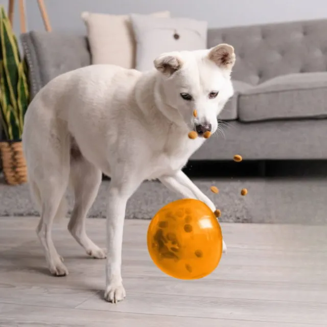 Nina Ottosson Outward Hound Snoop Orange