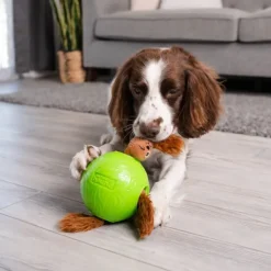 Nina Ottosson Snuffle N’ Treat Ball Aktiveringsboll med Ekorrar Small