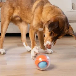 Nina Ottosson Topsy Treat Rumble Puzzle Aktiveringsboll