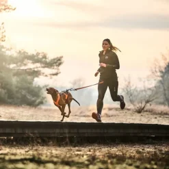 Non-stop Dogwear Canix 2.0 Hundförarbälte Svart