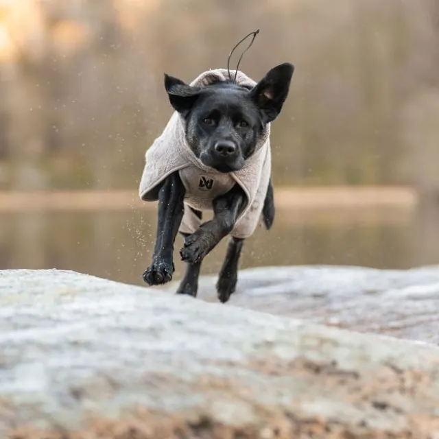 Non-stop Dogwear Drying Coat Badrock till Hund Beige