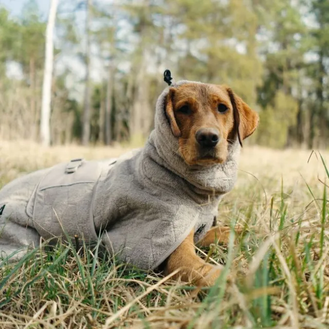 Non-stop Dogwear Drying Coat Badrock till Hund Beige