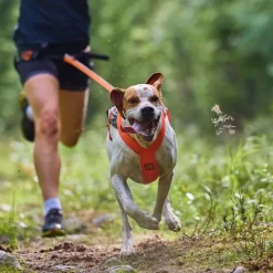 Non-Stop Dogwear Freemotion 5.0 Dragsele Orange & Svart
