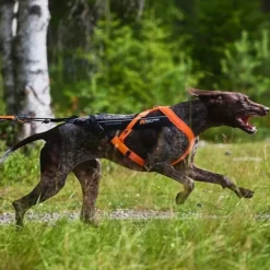 Non-Stop Dogwear Freemotion 5.0 Dragsele Orange & Svart