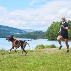 Non-Stop Dogwear Freemotion 5.0 Dragsele Orange & Svart