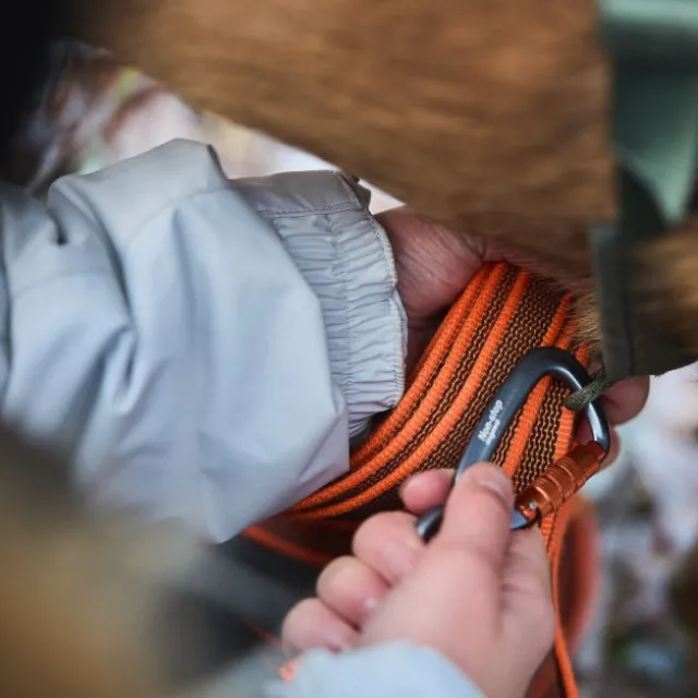 Non-Stop Dogwear Friction Långlina Hundkoppel Orange
