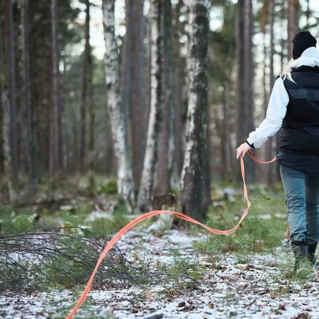Non-Stop Dogwear Friction Långlina Hundkoppel Orange
