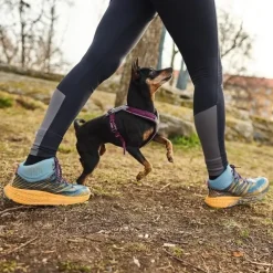 Non-Stop Dogwear Line Hundsele 5.0 Lila