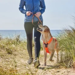 Non-Stop Dogwear Line Hundsele 5.0 Orange