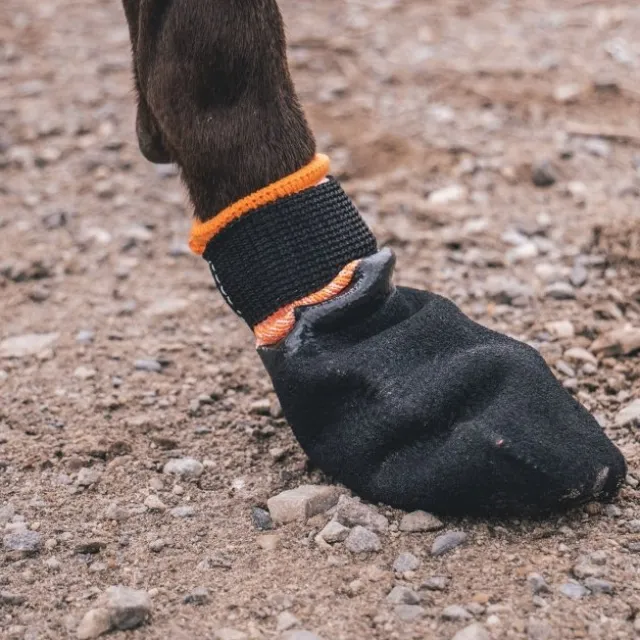 Non-Stop Dogwear Protector Bootie Hundstrumpa Svart & Orange 4-pack
