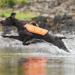 Non-Stop Dogwear Protector Flytväst till Hund Orange & Svart