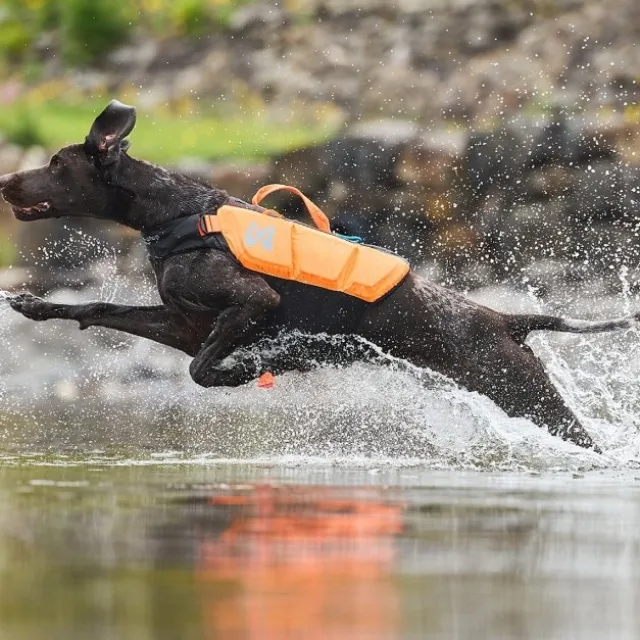 Non-Stop Dogwear Protector Flytväst till Hund Orange & Svart