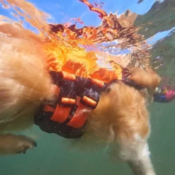 Non-Stop Dogwear Protector Flytväst till Hund Orange & Svart