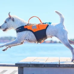 Non-Stop Dogwear Protector Flytväst till Hund Orange & Svart