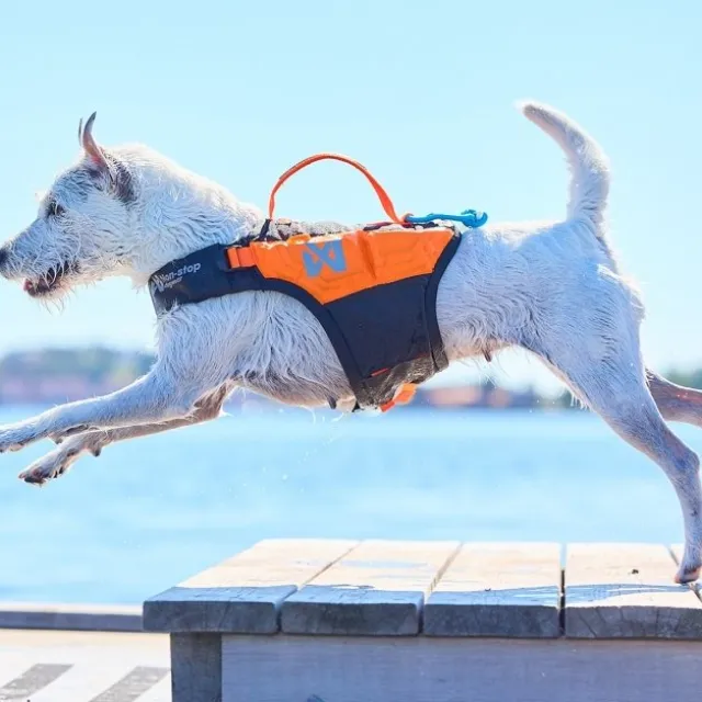 Non-Stop Dogwear Protector Flytväst till Hund Orange & Svart