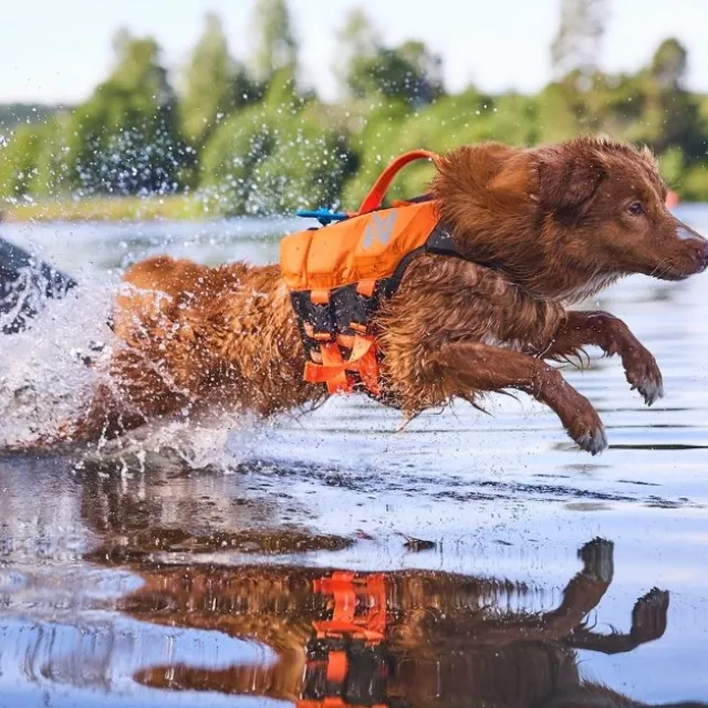 Non-Stop Dogwear Protector Flytväst till Hund Orange & Svart