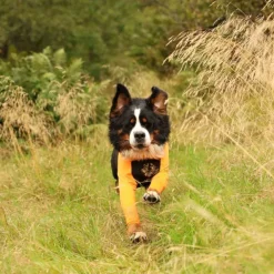 Non-stop Dogwear Protector Hundoverall för Hanhundar Svart & Orange