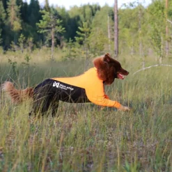 Non-stop Dogwear Protector Hundoverall för Hanhundar Svart & Orange