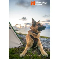Non-stop Dogwear Rock Harness Hundsele Svart/Orange