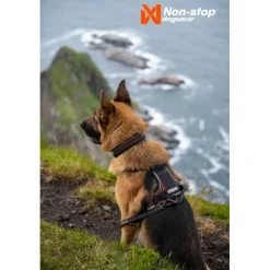 Non-stop Dogwear Rock Harness Hundsele Svart/Orange