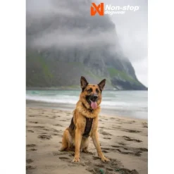 Non-stop Dogwear Rock Harness Hundsele Svart/Orange