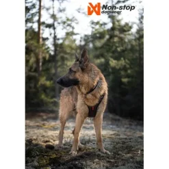 Non-stop Dogwear Rock Harness Hundsele Svart/Orange