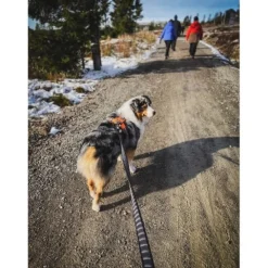 Non-stop Dogwear Touring Bungee Leash Elastiskt hundkoppel