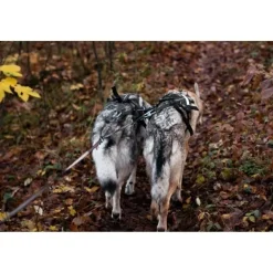 Non-stop Dogwear Touring Double Divider Avdelare för Koppel